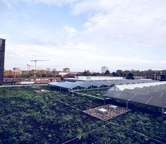 Gründach mit Photovoltaik-Anlage auf dem Dach der neuen KVG-Hauptwerkstatt
