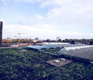 Gründach mit Photovoltaik-Anlage auf dem Dach der neuen KVG-Hauptwerkstatt